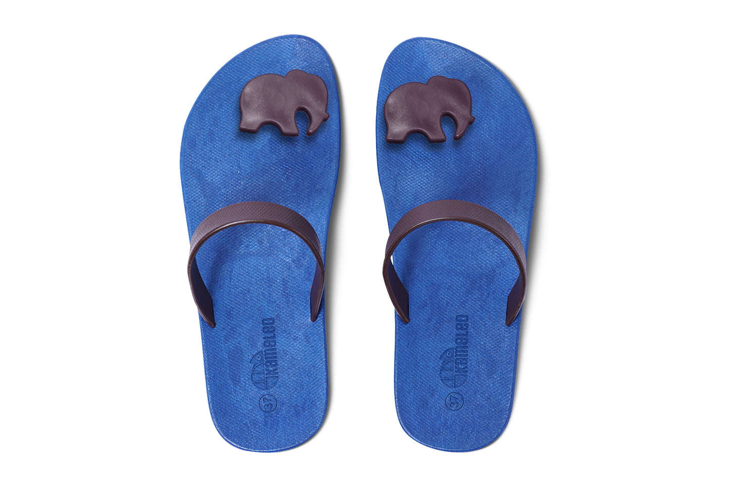 Poppi Ellie Blue Sole Brown Strap