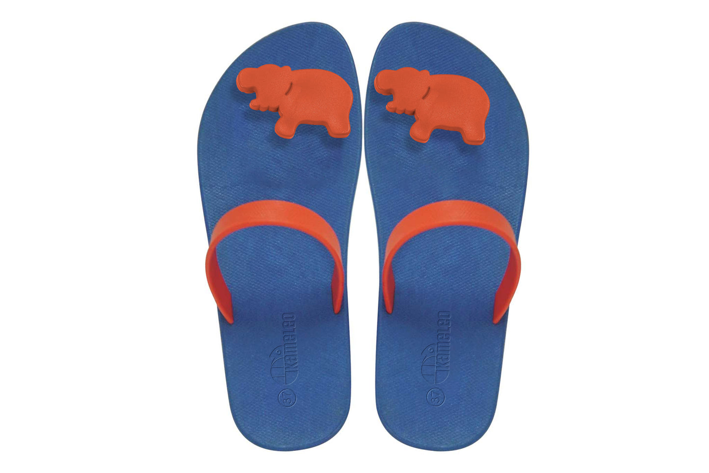 Poppi Hippo Blue Sole Red Strap