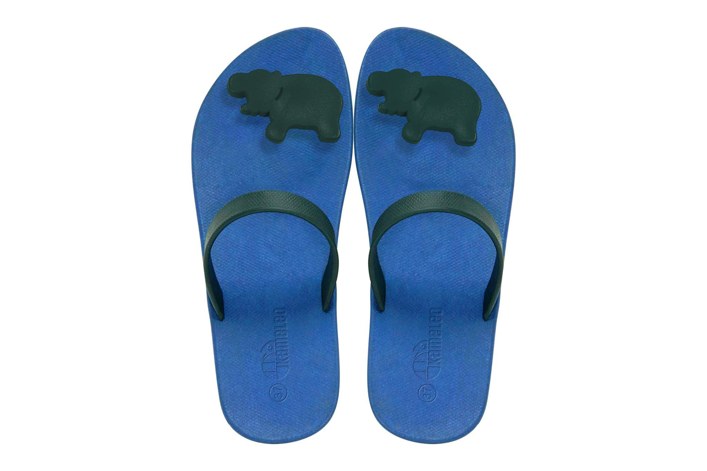 Poppi Hippo Blue Sole Black Strap