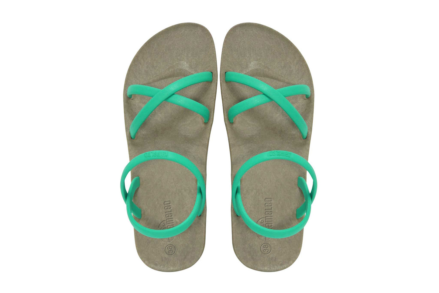 Cross Slim Brown Sole Green Strap