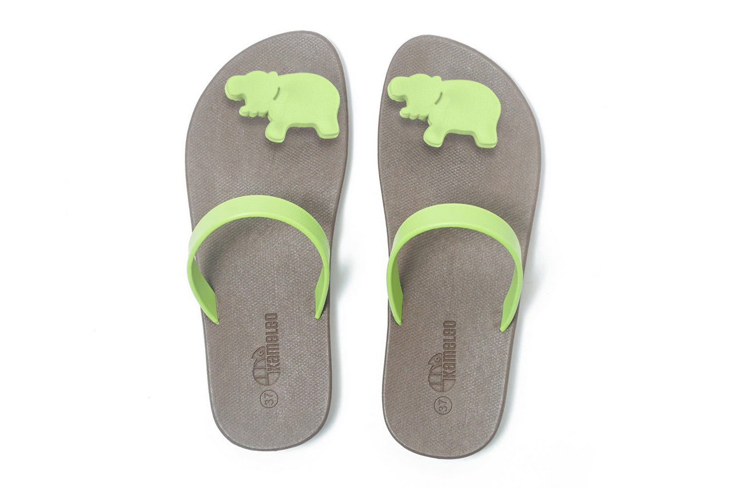 Poppi Hippo Brown Sole Lime Strap