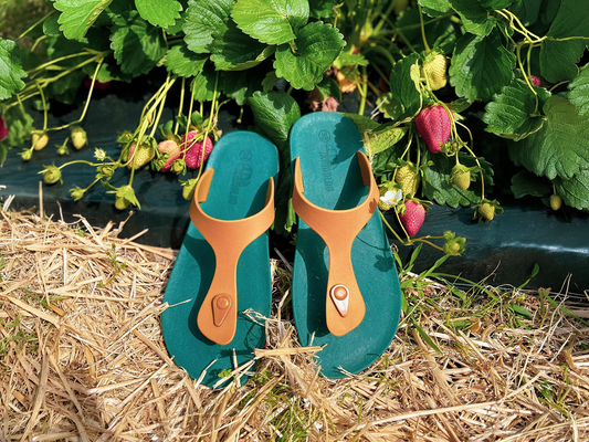 Candy Green Sole Caramel Strap