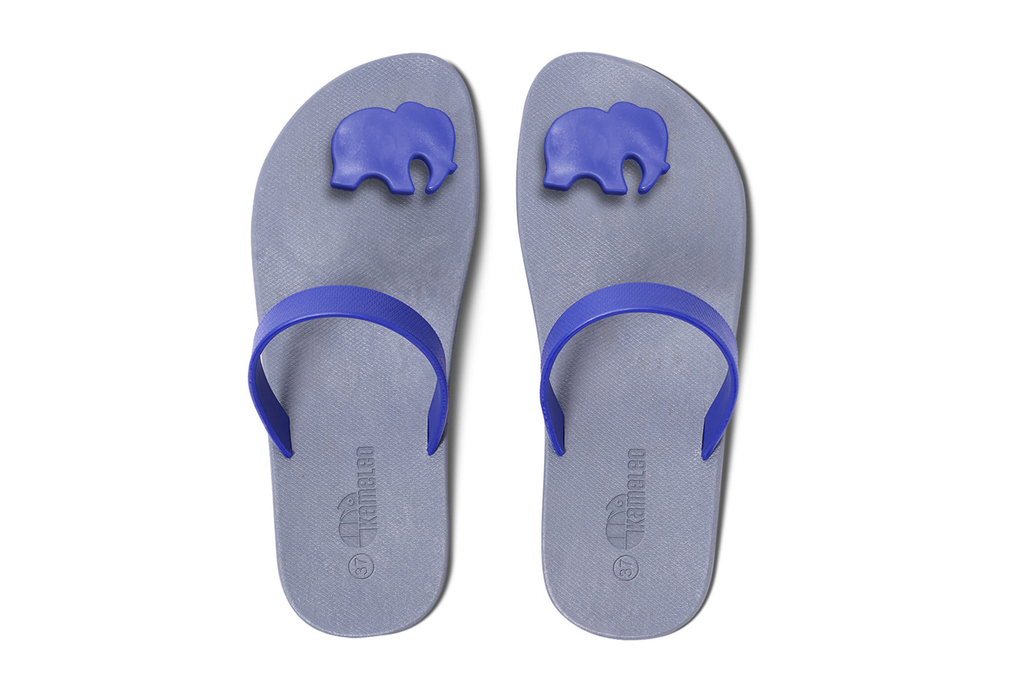 Poppi Ellie Grey Sole Blue Strap